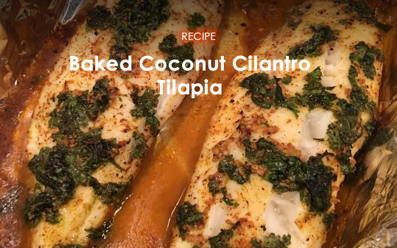 Baked Coconut Cilantro Tilapia